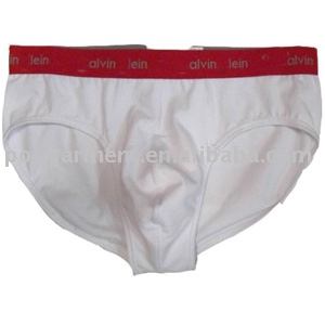 Designer Fashion Underwear (Fashion Designer Underwear)