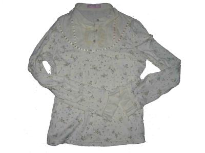 Ladies `Bluse (Ladies `Bluse)