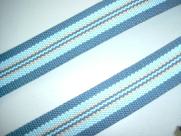 PP Webbing (ПП Webbing)
