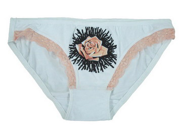 Ladies `Briefs (Ladies `Briefs)