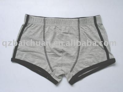 Men`s boxer (Men `s boxeur)