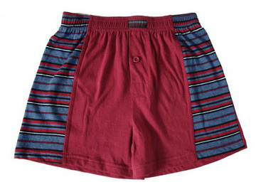 Boys` Boxers (Boys `Boxer)