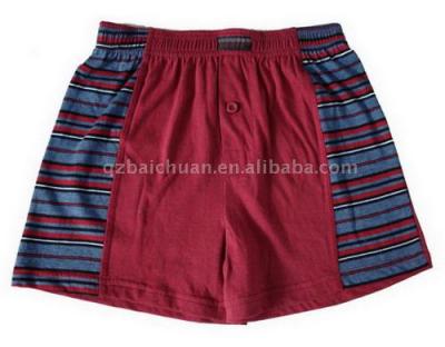 Boy`s Boxers (Boy `s Boxers)