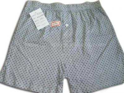 children and men boxer