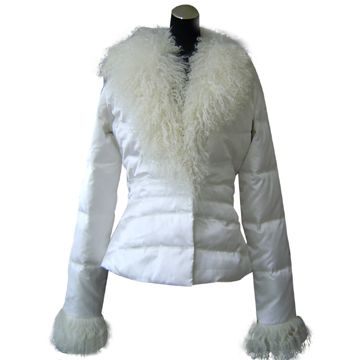 Ladies` Padding Jacket (Ladies` Padding Jacket)