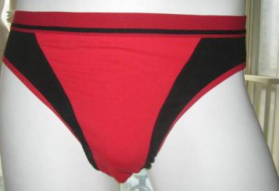 briefs RS1 (резюме RS1)