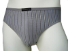 mens brief (mens brief)