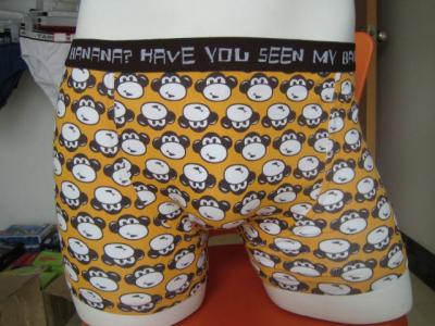 Mens boxer (Mens boxer)