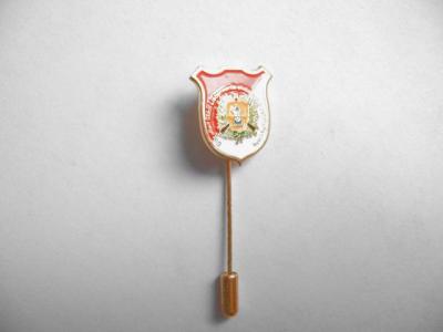 stick pin