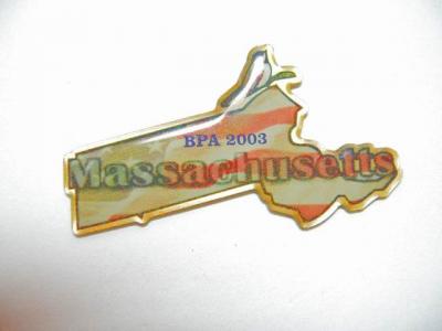 screen printed pin