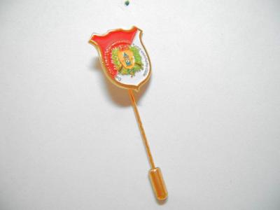 lapel pin