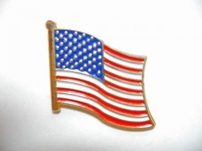 USA Lapel Pin