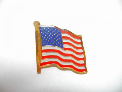 USA Lapel Pin