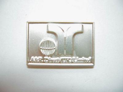lapel pin