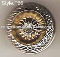P66 button (P66-Taste)