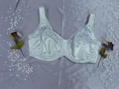 Plus Size Bra (Plus Size Bra)