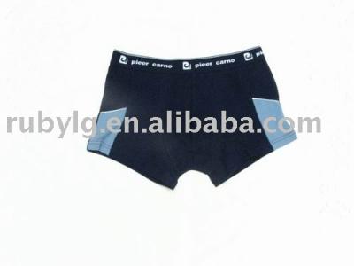 Boxer (Boxer)