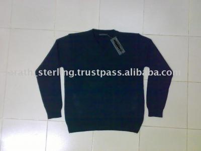 Men`s Sweater (Men`s Sweater)