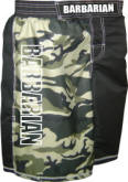 FIGHT SHORTS