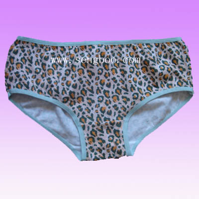 Ladies briefs