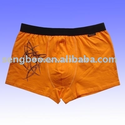 Men`s boxers (MEN `S боксеры)