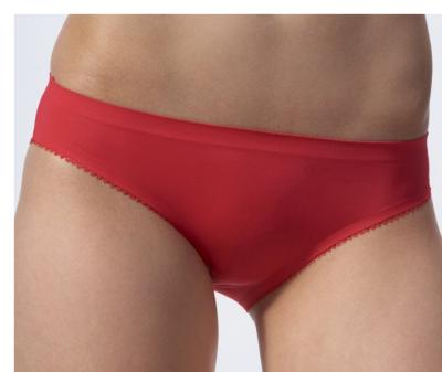 seamless panties (transparente culotte)