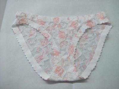 ladies` briefs (Ladies `Slip)