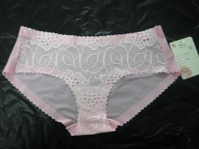 nahtlose Höschen (nahtlose Höschen)