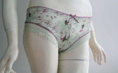 briefs (mémoires)