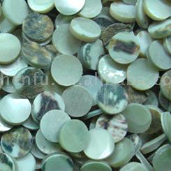 Trocas Shell Blanks (Trocas Shell Бланки)