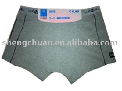 Boxer (Boxer)