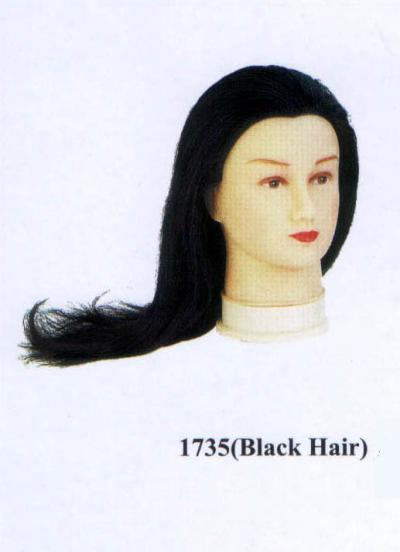 mannequin heads
