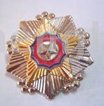 Badge (Badge)