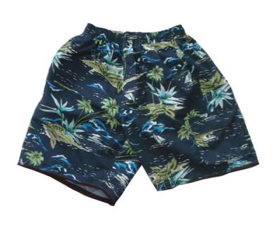 Men`s Beach Pant (Men`s Beach Pant)