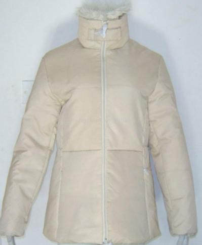 Ladies` Down Jacket (Ladies` Down Jacket)