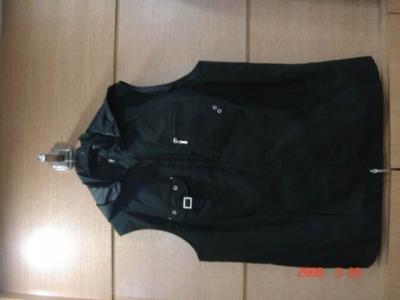 Hooded Vest (Hooded Vest)