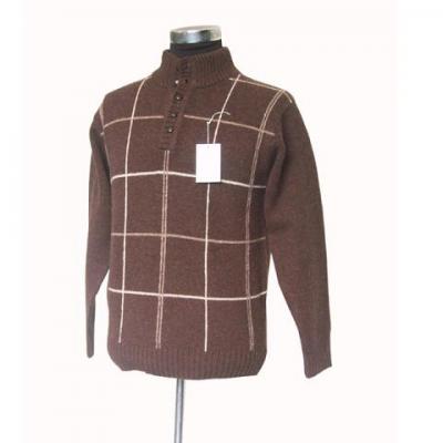 Men`s Sweater (Men`s Sweater)