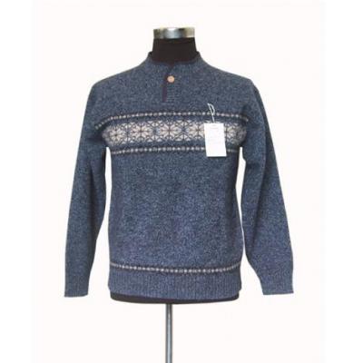 Men`s Sweater (Men`s Sweater)