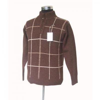 Men`s Sweater (Men`s Sweater)