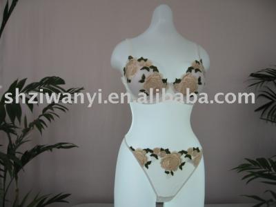 Elegant Bra Underwear (Elegantes BH Unterwäsche)