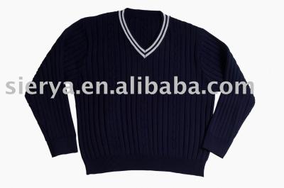 Mens` sweater (Mens` sweater)