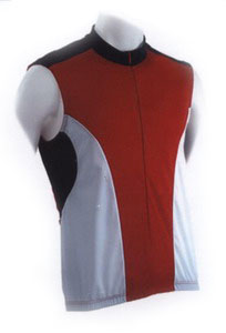 Cycling Jersey (Cyclisme Jersey)
