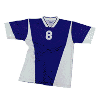 Soccer Shirt, Football Jersey (Soccer Shirt, Football Jersey)