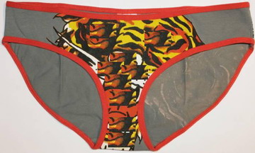 fashion underwear (fashion underwear)
