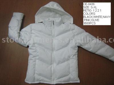 LADIES` PADDING JACKET (LADIES` PADDING JACKET)