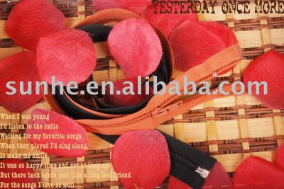 Nylon Zipper ,Long Chain and Finished Zipper (Nylon Zipper, à longue chaîne et finis Zipper)