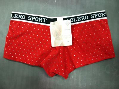 lady`s panties (lady`s panties)