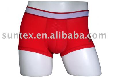 women`s boxer (women`s boxer)