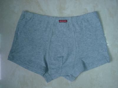 men`s boxer (men`s boxer)