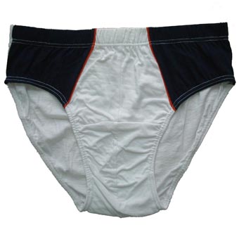 Men`s brief